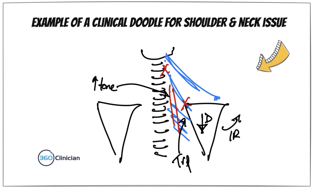 Doodle examples of shoulder and neck